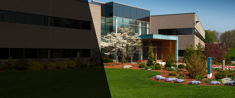 Poplar Grove Landscapers