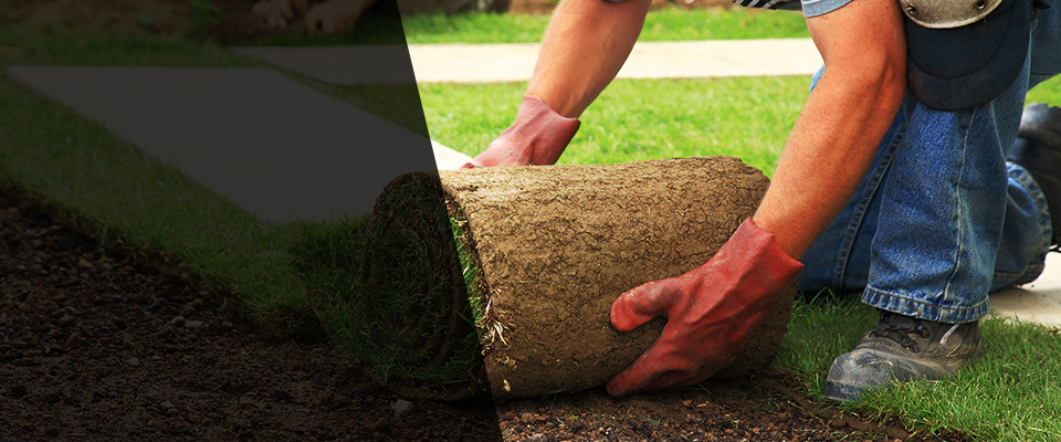 Poplar Grove Landscapers